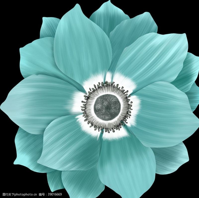 青色的花图片免费下载 青色的花素材 青色的花模板 图行天下素材网