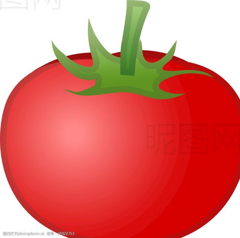 洋丝瓜西红柿图片