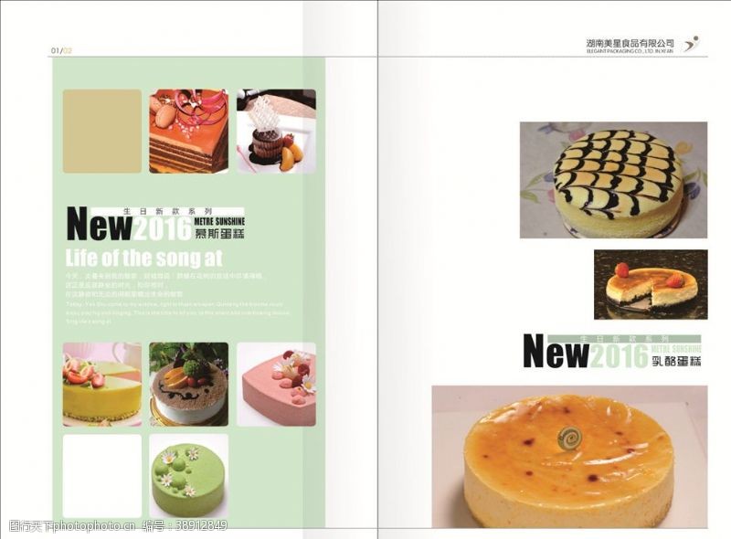 蛋糕美食画册蛋糕画册