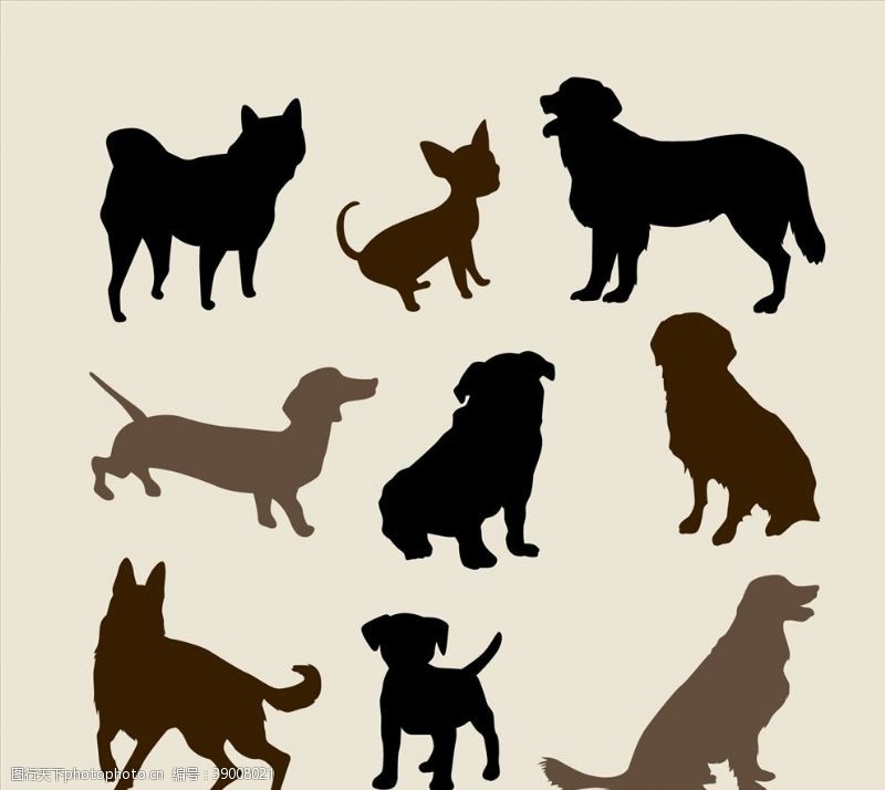 宠物剪影狗品种规格剪影图片