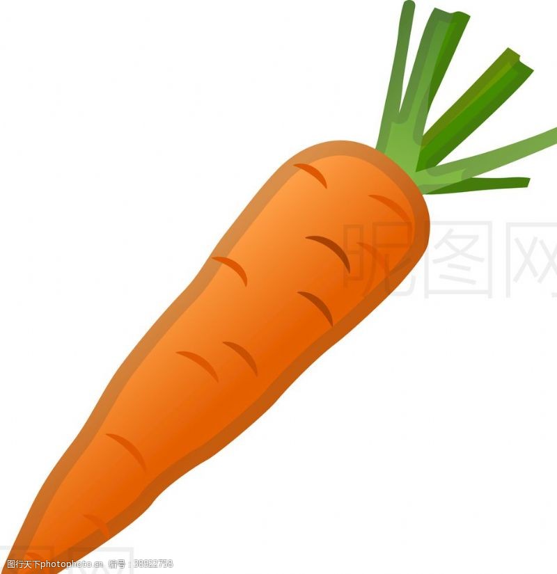 包菜胡萝卜图片