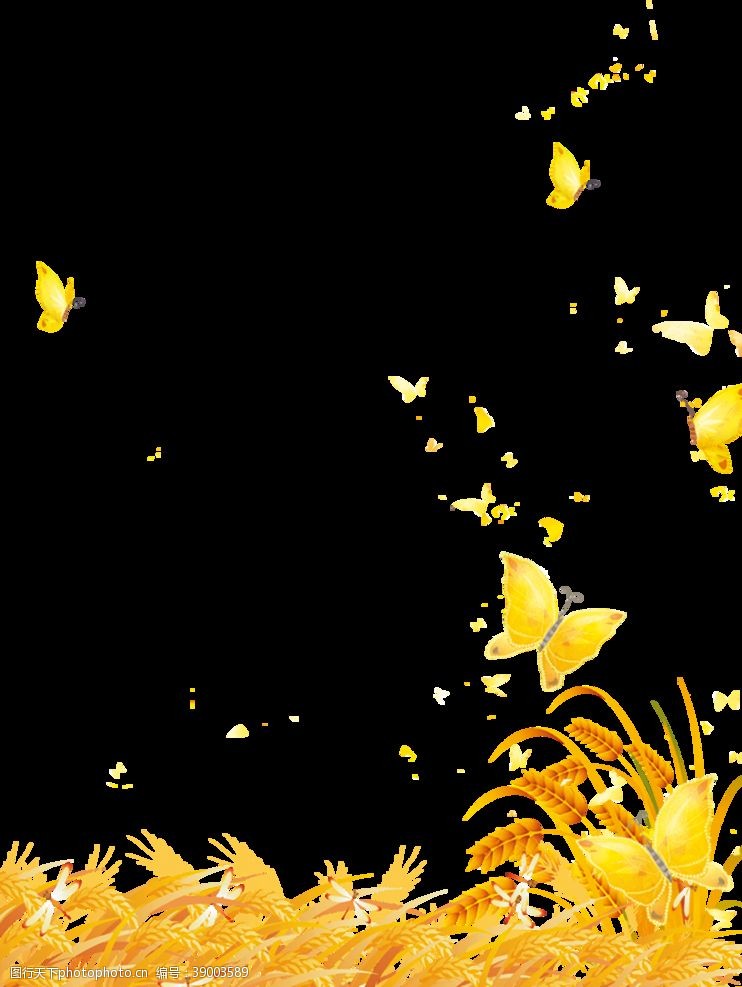 矢量专题金色蝴蝶元素图片