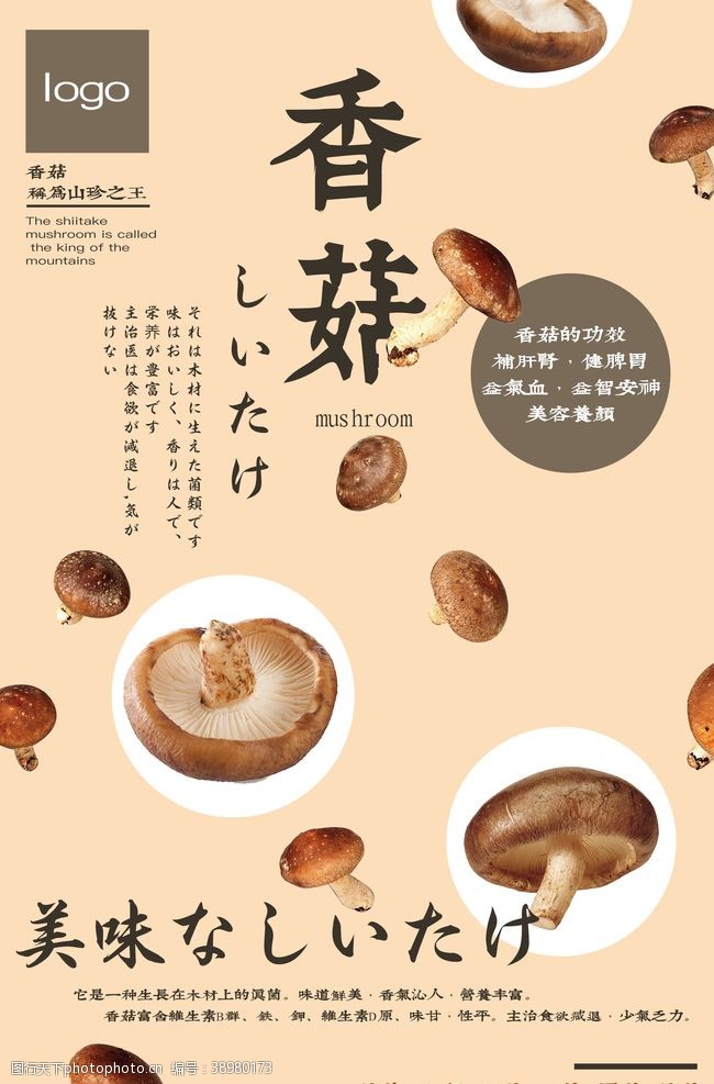香菇特产食用菌类香菇海报图片