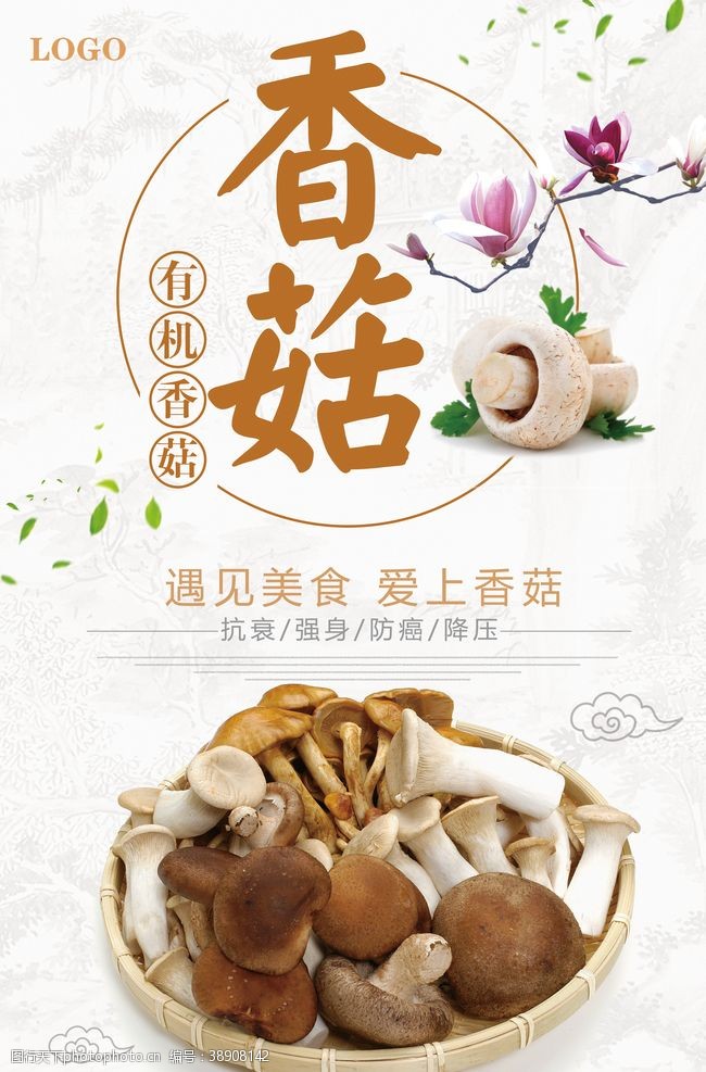 黄丝菌香菇海报
