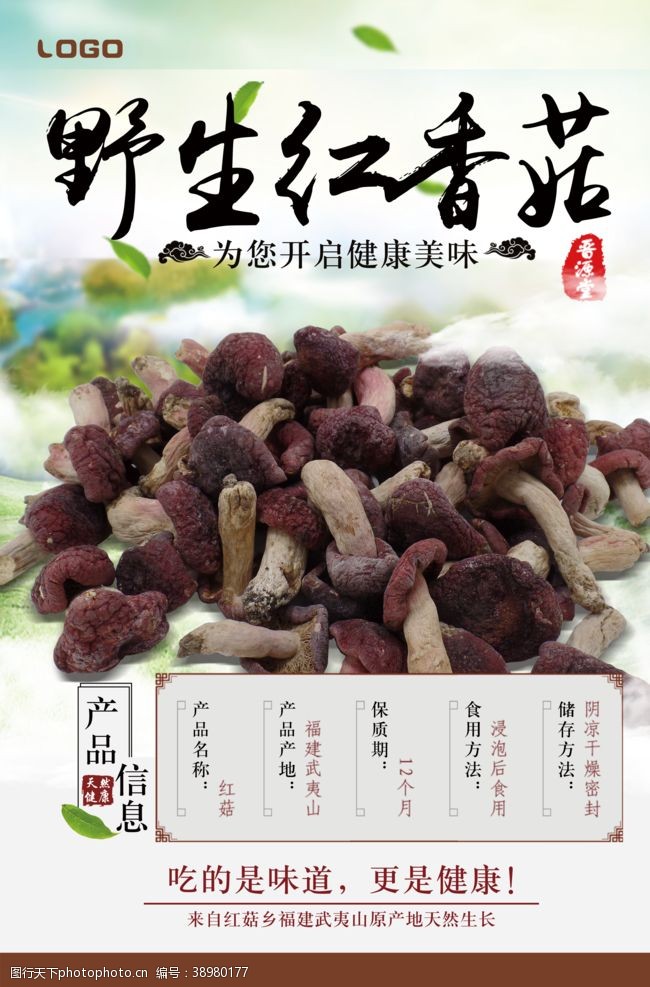 云南美食创意字体野生香菇促销海报图片