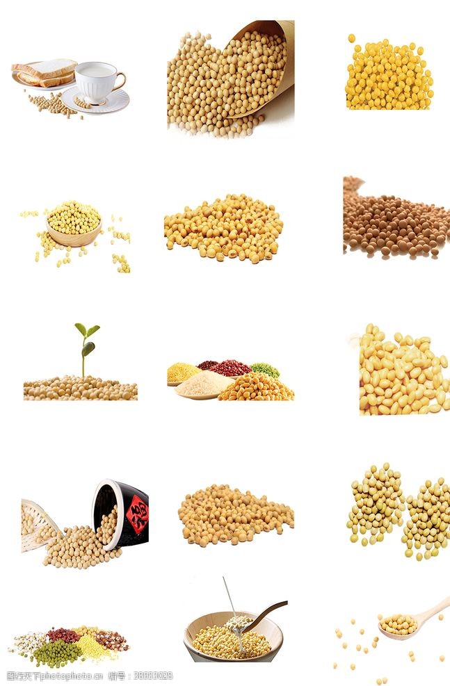 豆浆杂粮黄豆素材图片