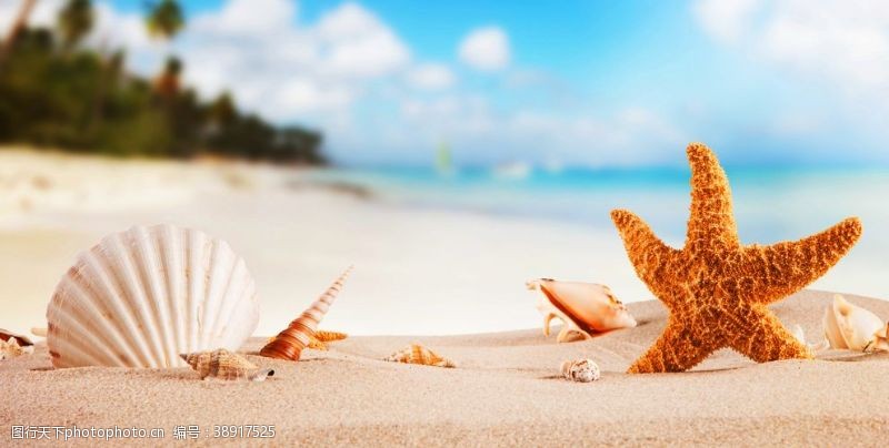 夏天拱门沙滩背景图片
