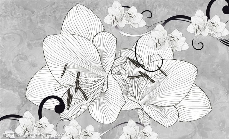 树枝手绘花朵插画背景墙图片