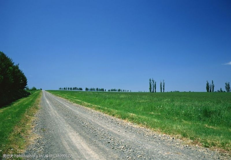 农村土路乡间小路图片