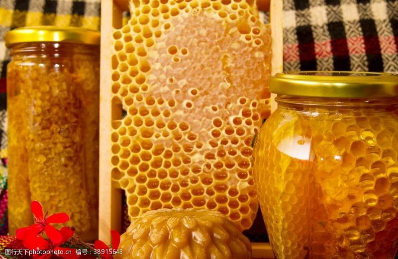 蜜蜂窝蜂蜜图片
