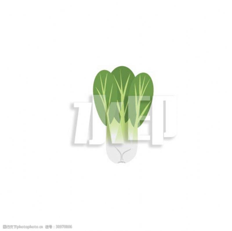 蔬菜小白菜图片