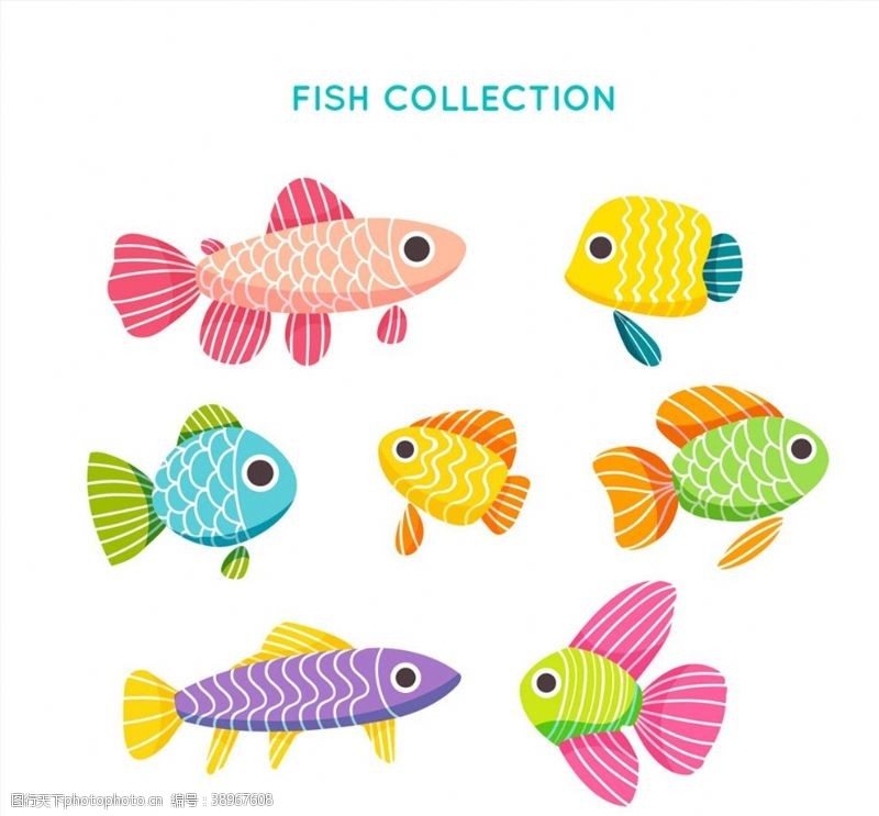 文件彩色花纹鱼类图片