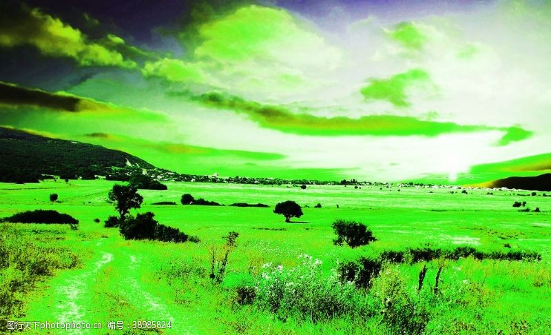 大草原大自然风景图片