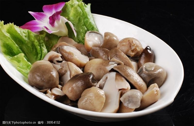 茶树菇菌类食材图片