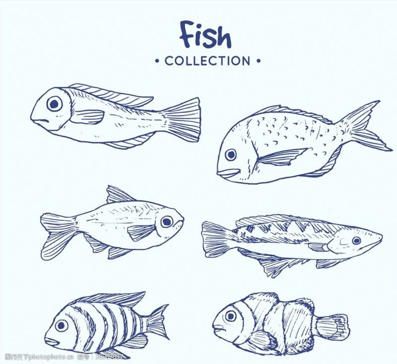 文件蓝色手绘海洋鱼类图片