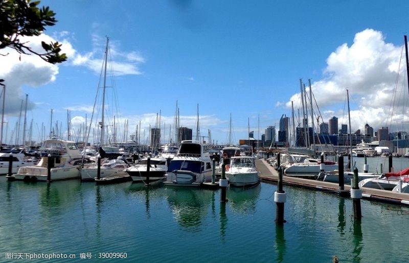 新西兰海滨风光奥克兰海滨游艇码头风景图片