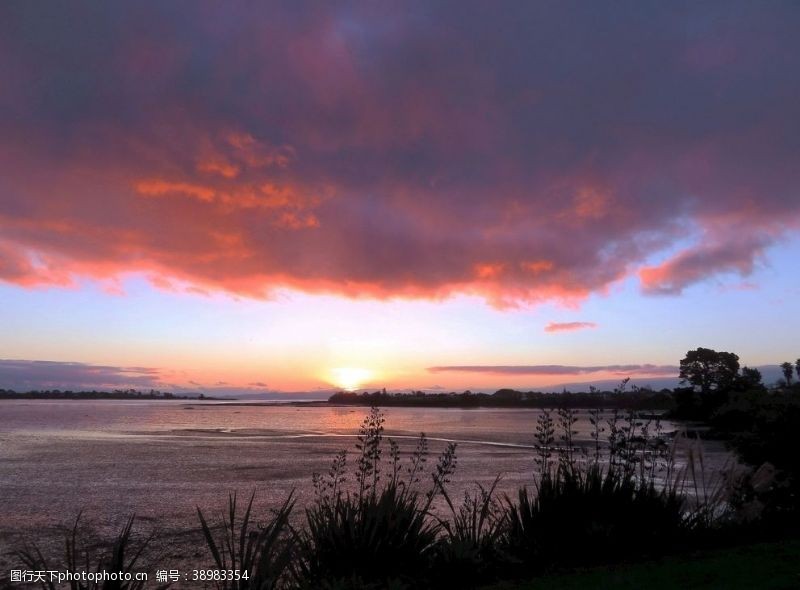 新西兰海滨风光傍晚的海滨风景图片