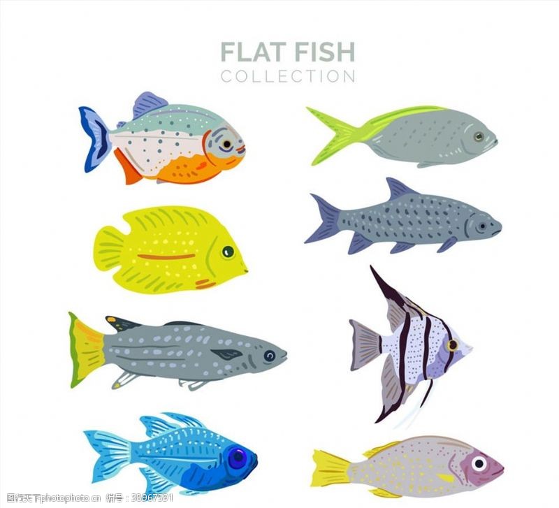 文件扁平化彩色鱼类图片