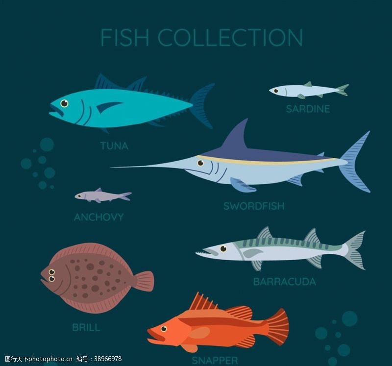 文件彩色海洋鱼类图片