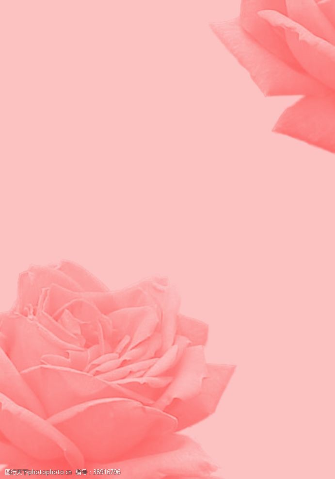 温馨底纹玫瑰花背景图图片