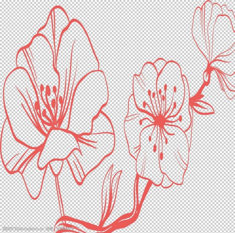 绿叶藤手绘植物花卉图片
