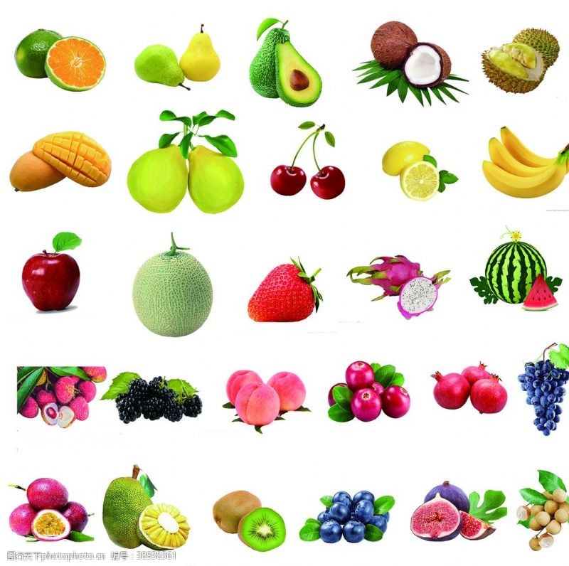 哈密瓜广告各种水果图片
