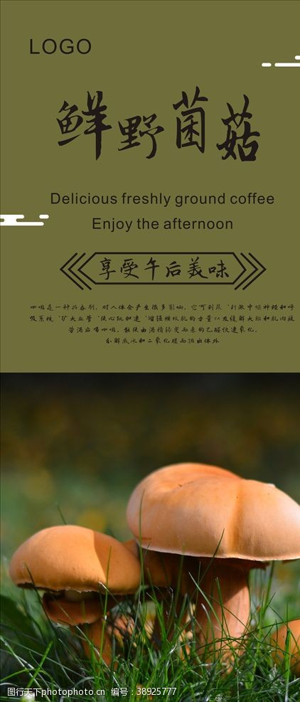 平头菇菌菇展架图片
