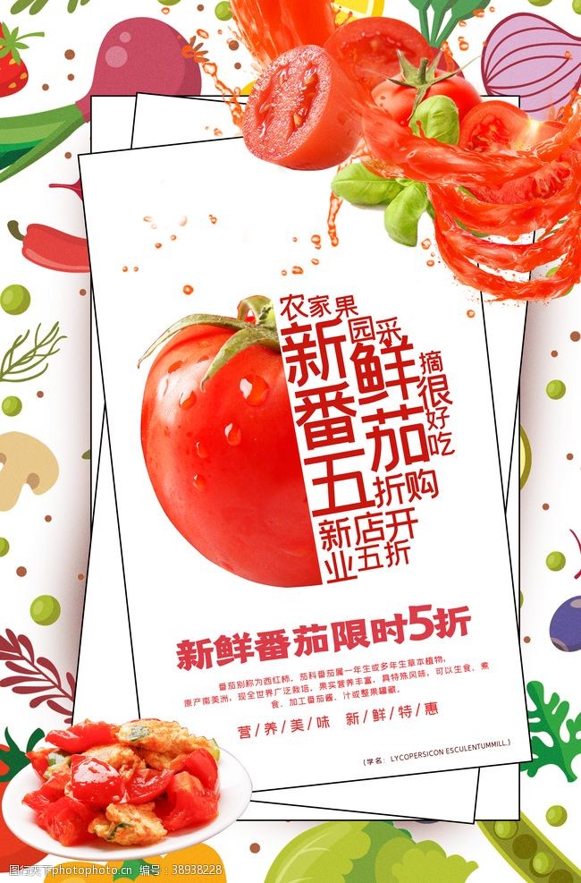 新鲜番茄水果活动宣传海报素材图片