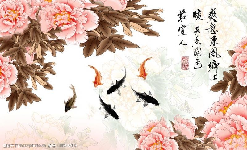 蝴蝶兰兰花装饰画背景墙图片