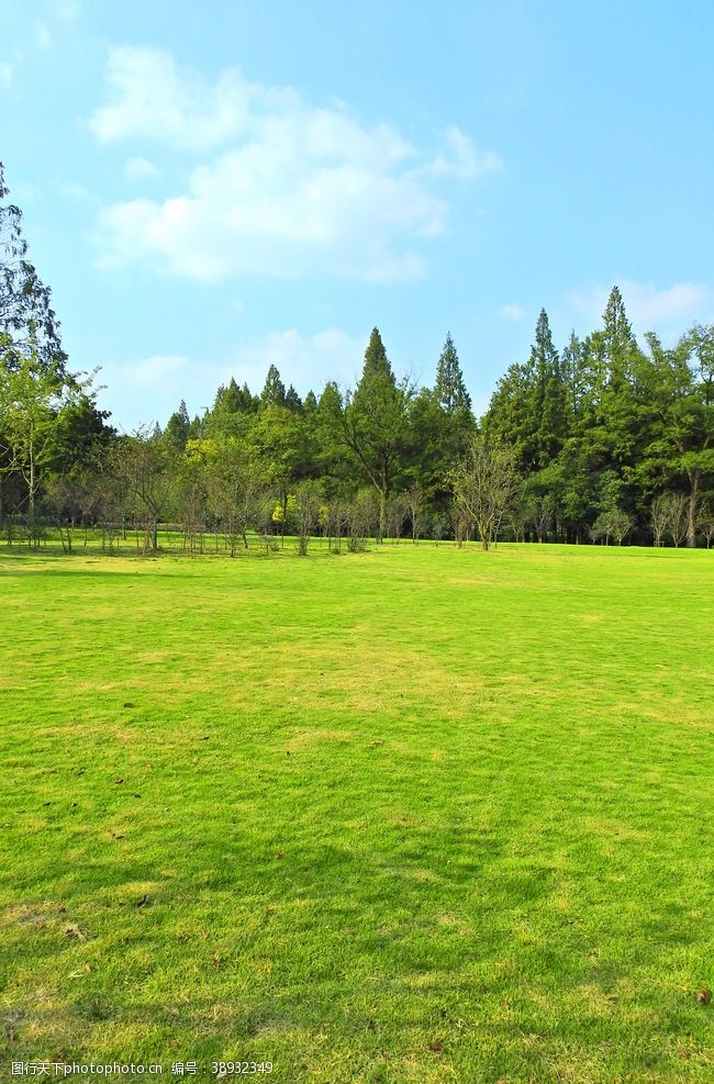 城市草坪公园草坪图片