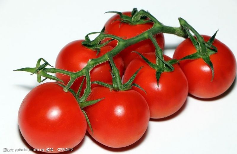 原创红色背景西红柿番茄图片