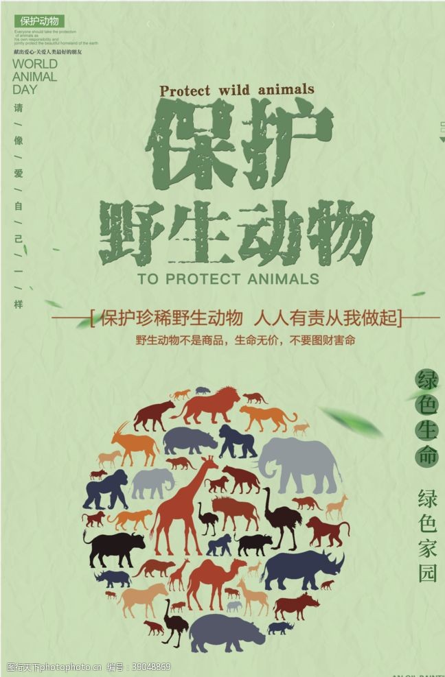 爱护生命健康保护野生动物图片