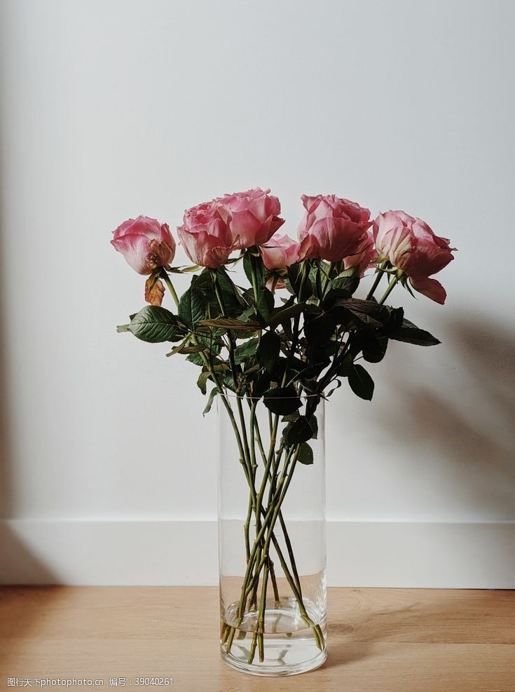粉色玫瑰花束图片