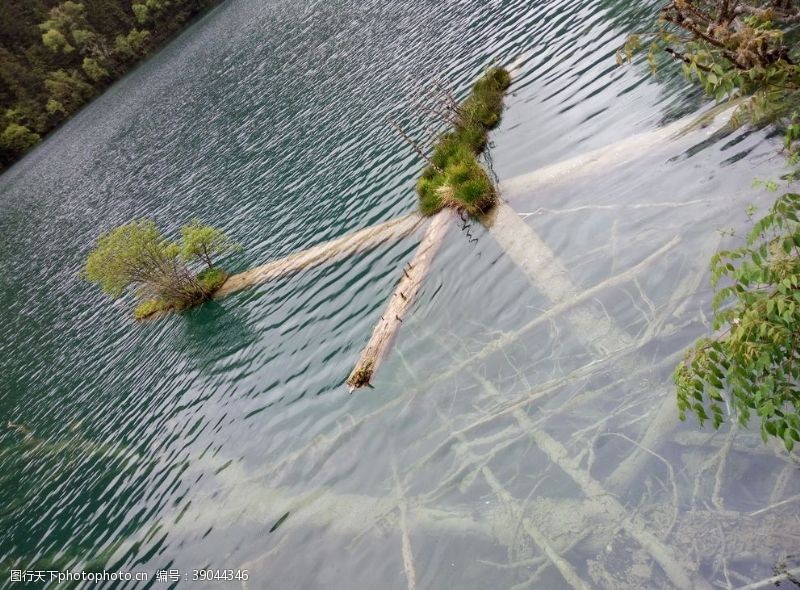 碧绿的海水九寨沟图片