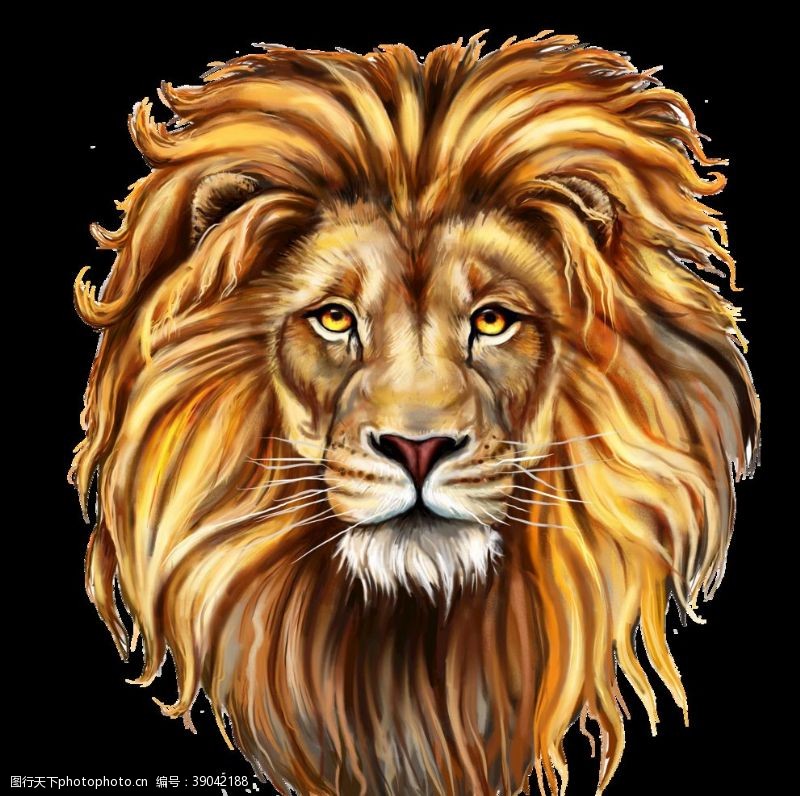 商业包装狮子狮子头插画图片