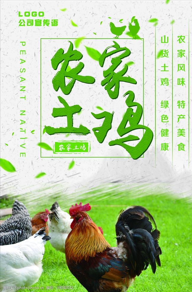 农家土猪肉特产海报图片