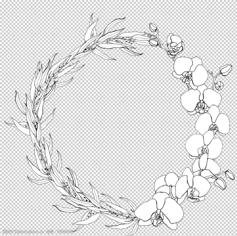 树枝植物花朵装饰图案图片