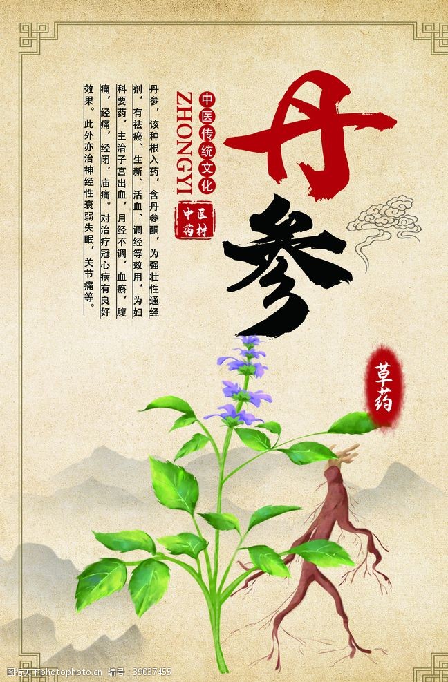 中医文化中医草药功效介绍图片