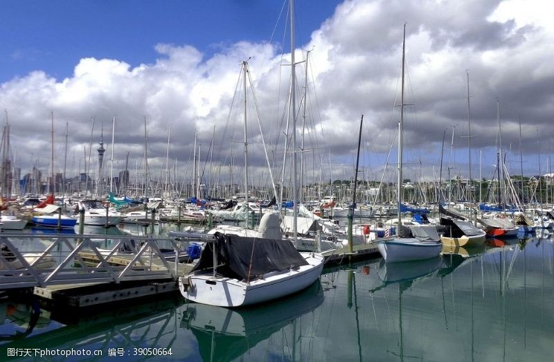 新西兰海滨风光奥克兰游艇码头风光图片