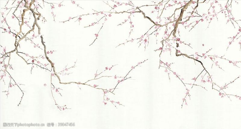 树枝梅花图片