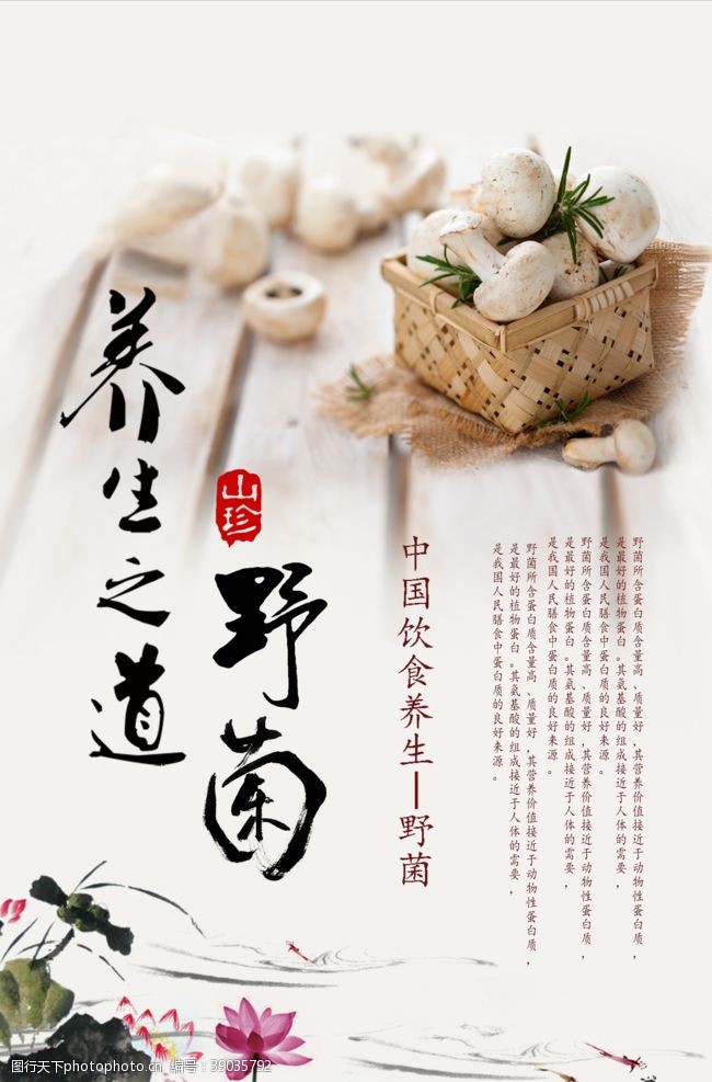 中医文化野菌食材养生之道海报图片