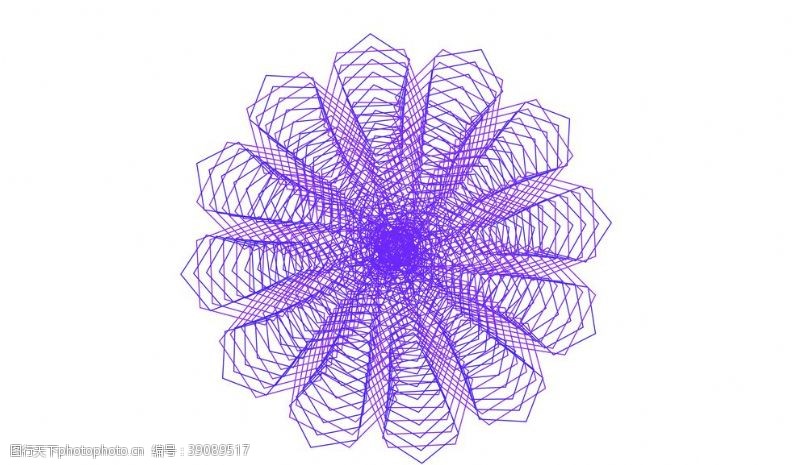 精致的花纹花纹图片