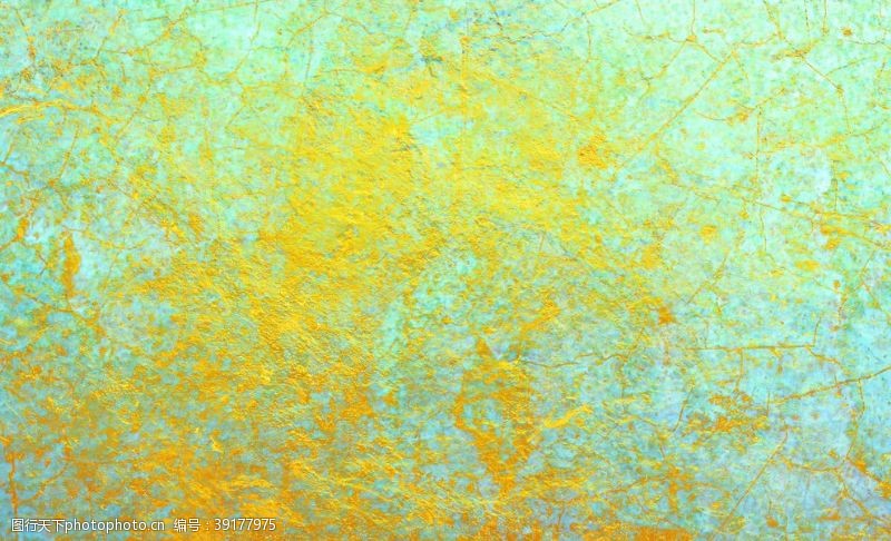 梅花金属边框金树图片