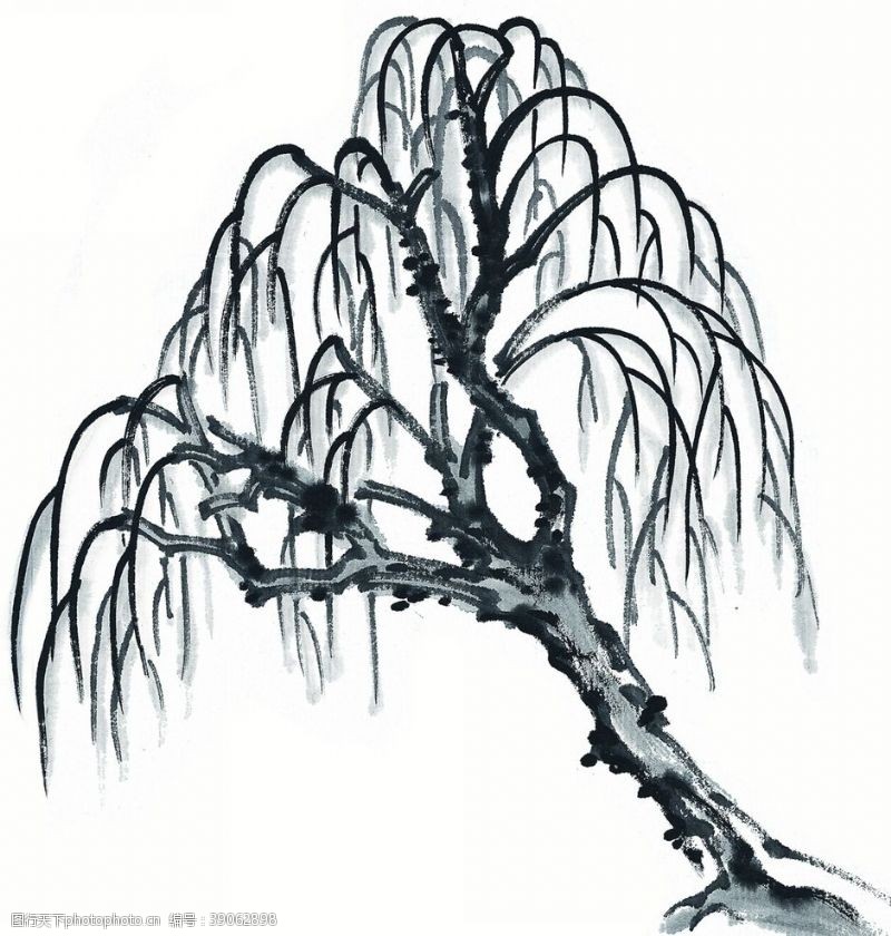 中国风景画水墨柳树图片