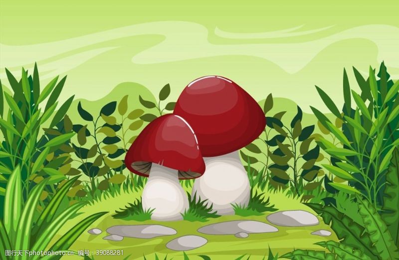 蘑菇云草地里的蘑菇图片