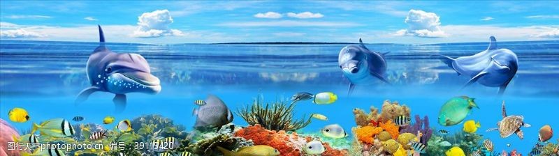海洋世界海豚珊瑚背景墙图片