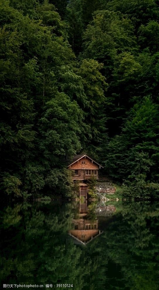 林中小屋森林中的房子图片