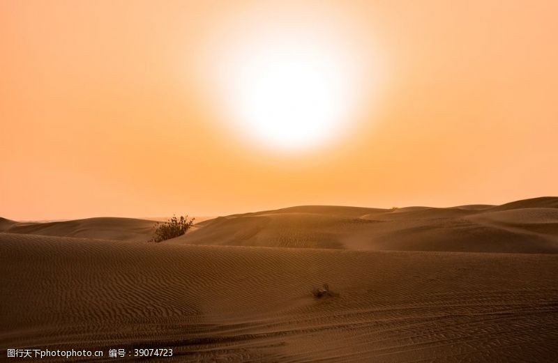波塔斯沙漠图片