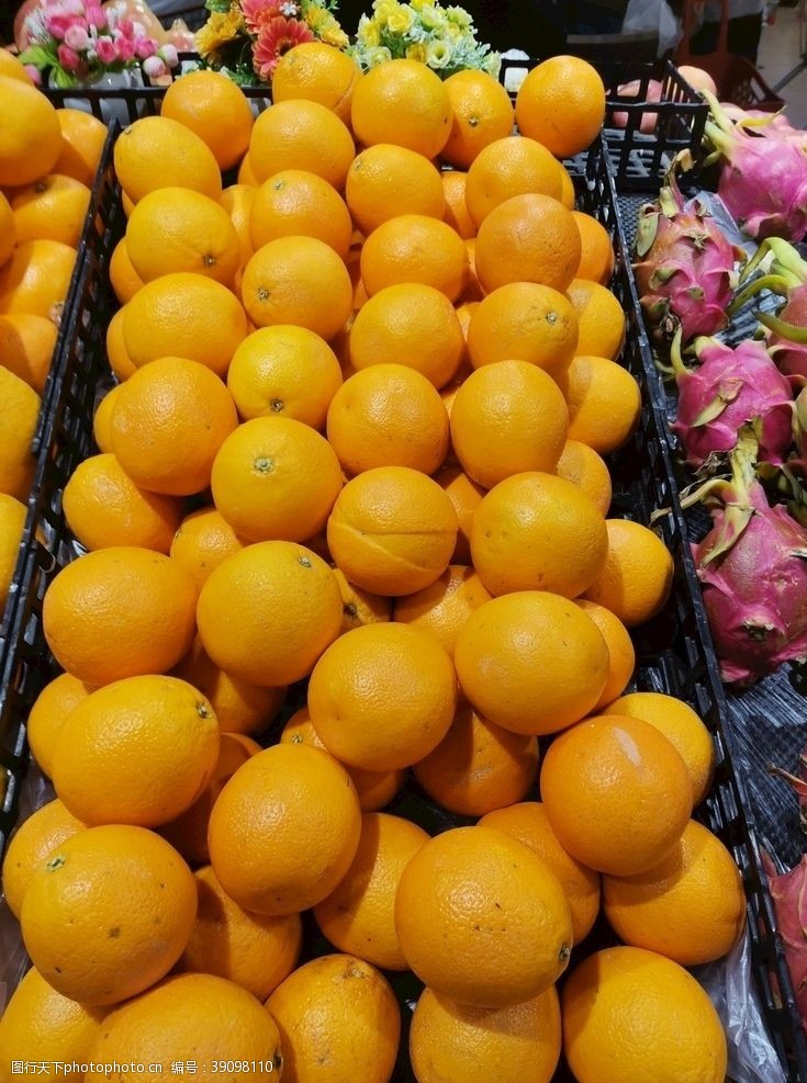 酸橙鲜橙图片