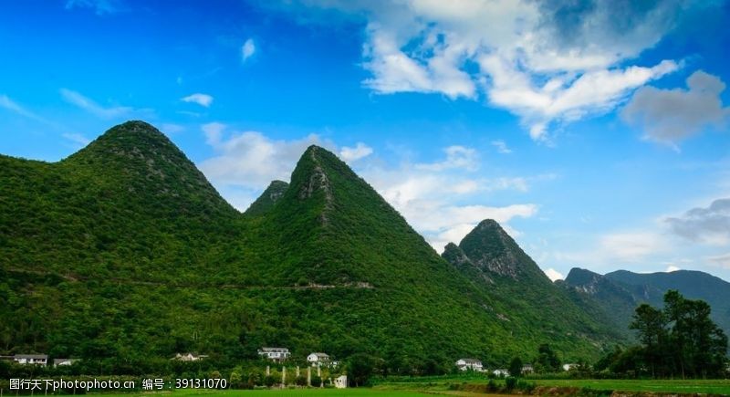 南植物园美景乡村田野图片